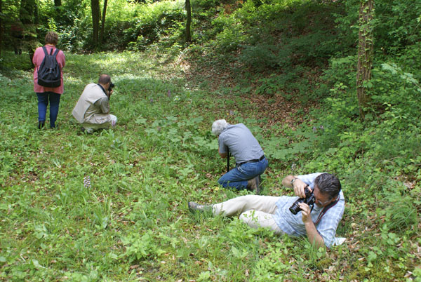 photographes en herbes